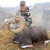 Stone Sheep Hunt in 2026 with Terminus Mountain Outfitters - Image 4