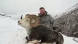 Stone Sheep Hunt in 2026 with Terminus Mountain Outfitters - Image 10