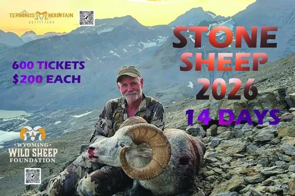 Stone Sheep Hunt in 2026 with Terminus Mountain Outfitters